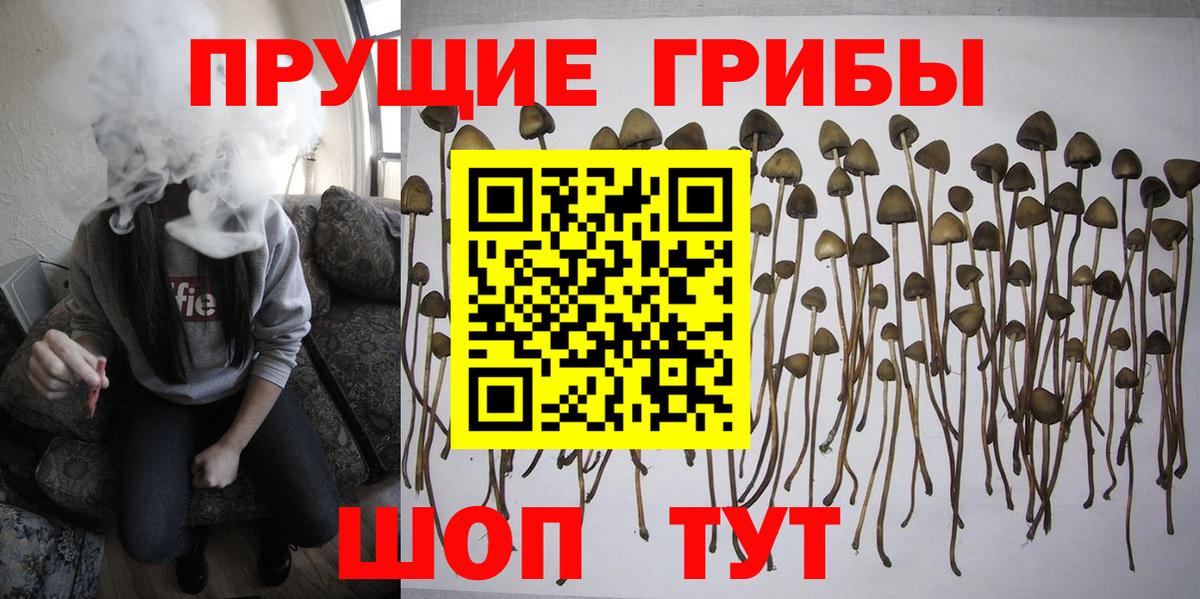 Галлюциногенные грибы Magic Shrooms  Вход с VPN  Псилоцибиновые грибы мухоморы  Калач-на-Дону 