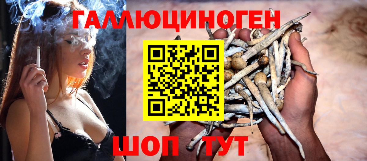 Галлюциногенные грибы прущие грибы Калач-на-Дону
